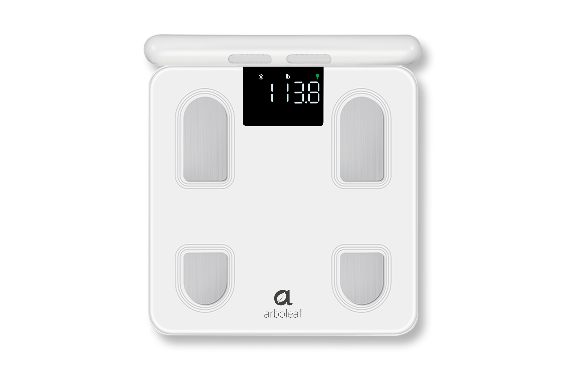 Segmental Body Scale CS10E